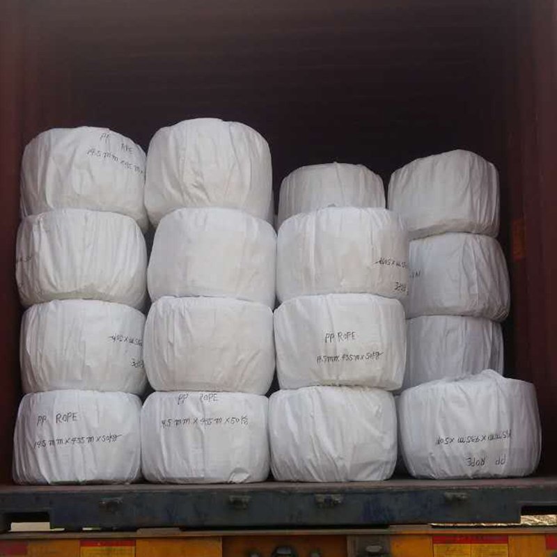 High Quality Polypropylene 3 Strand Twisted PE Twine Nylon Marine Fishing Rope PP Danline Rope for Packaging