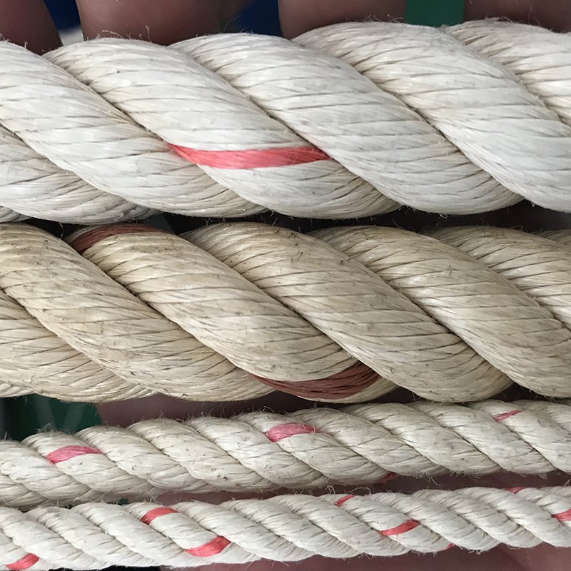 Wholesale 3/4/8 Strands Polyprophylene Plastic Rope Twisted Braided PP Danline Rope for Fishing Marine Towing
