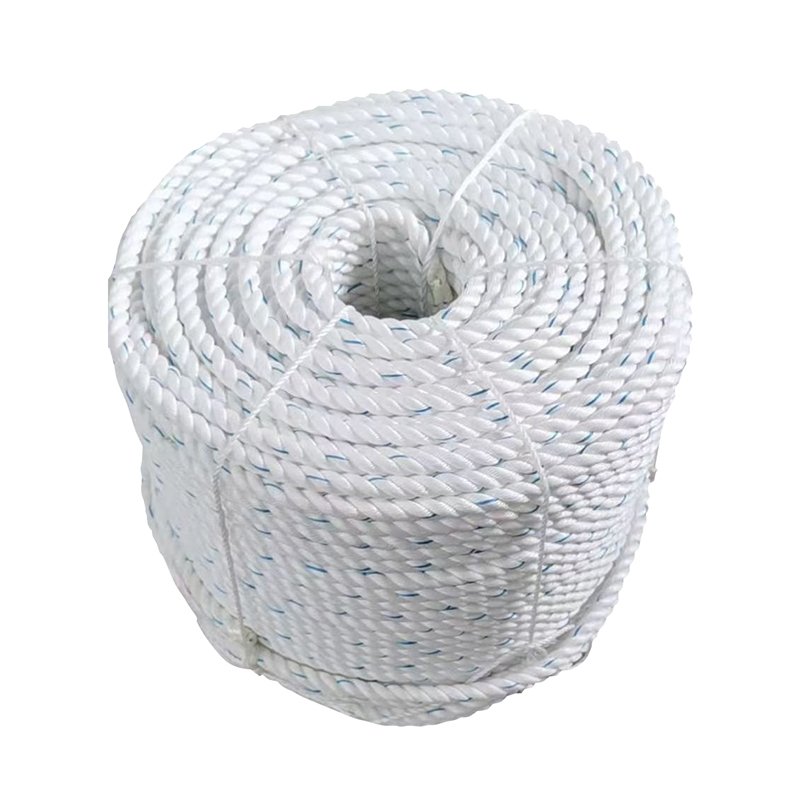 Hot Selling Plastic Twine Polypropylene Fiber 3 Strands Twisted Nylon PE Rope PP Danline for Marine Fishing Industry