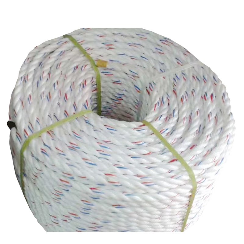 Hot Selling Plastic Twine Polypropylene Fiber 3 Strands Twisted Nylon PE Rope PP Danline for Marine Fishing Industry