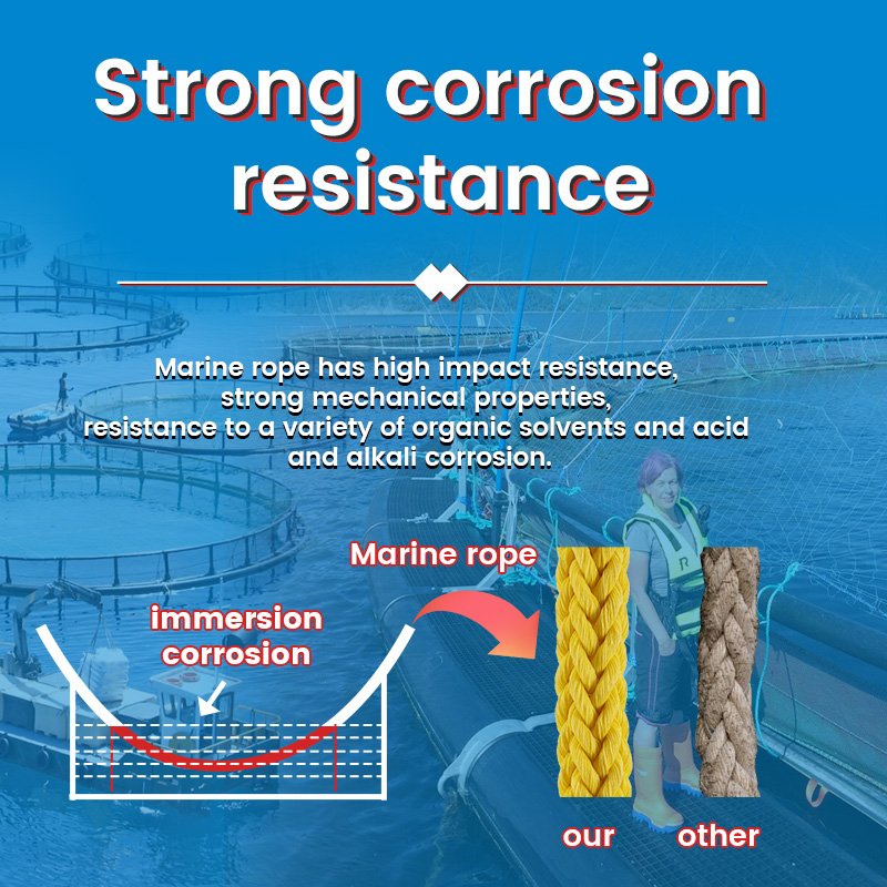 Pp/pe/nylon/polyester/uhmwpe Sail Shipping Mooring Rope Marine