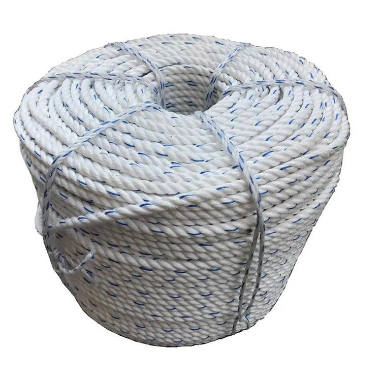 Hot Selling Plastic Twine Polypropylene Fiber 3 Strands Twisted Nylon PE Rope PP Danline for Marine Fishing Industry