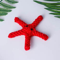 starfish