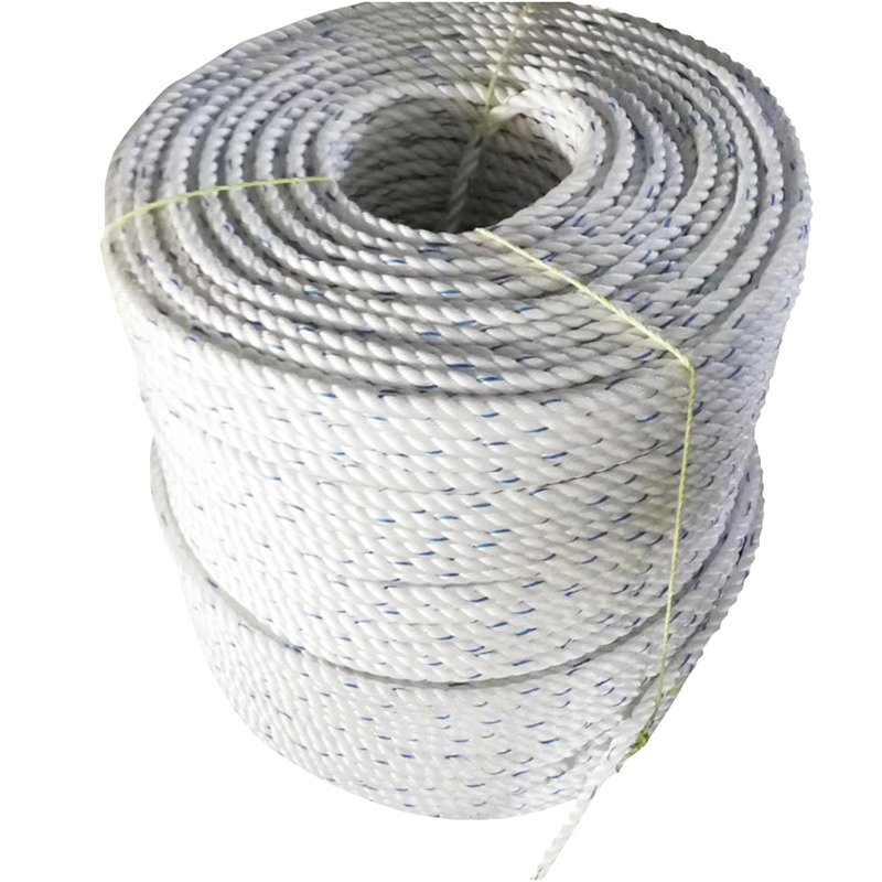 High Strength 3 Strands Twisted Polyprophylene Rope Plastic PP Danline for Packaging and Marine Fishing Net
