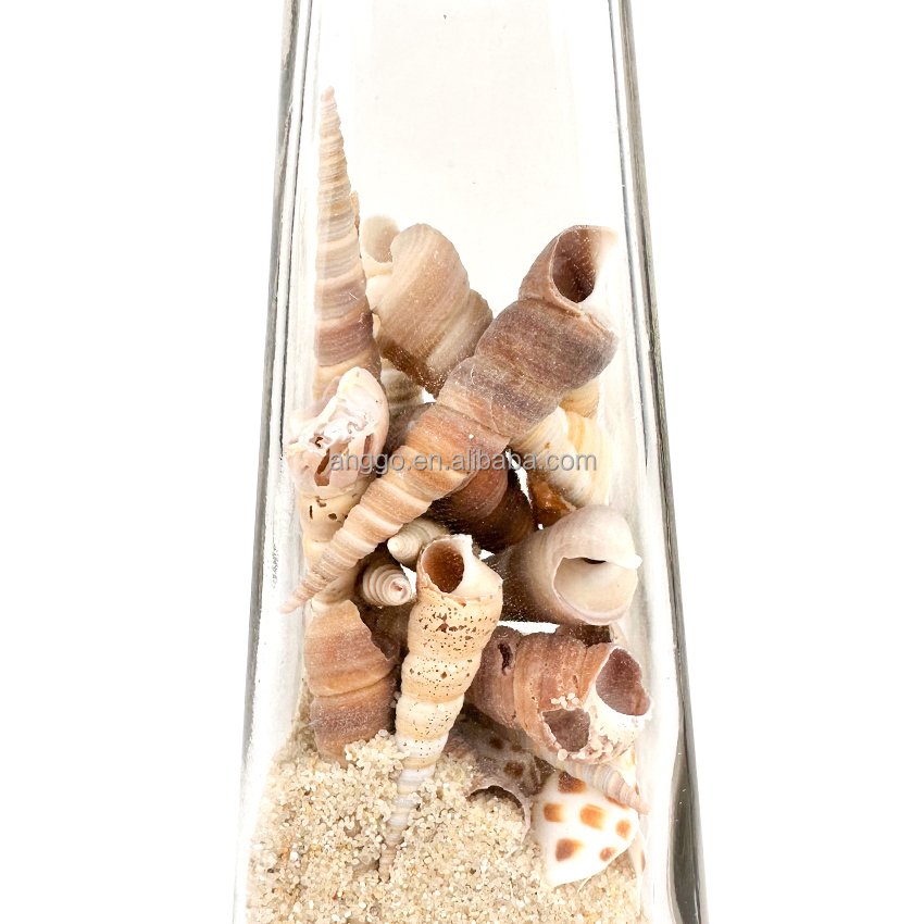 Rope Boat Anchor Decoration Transparent Glass Natural Conch Shell Sand Message Drift Bottle