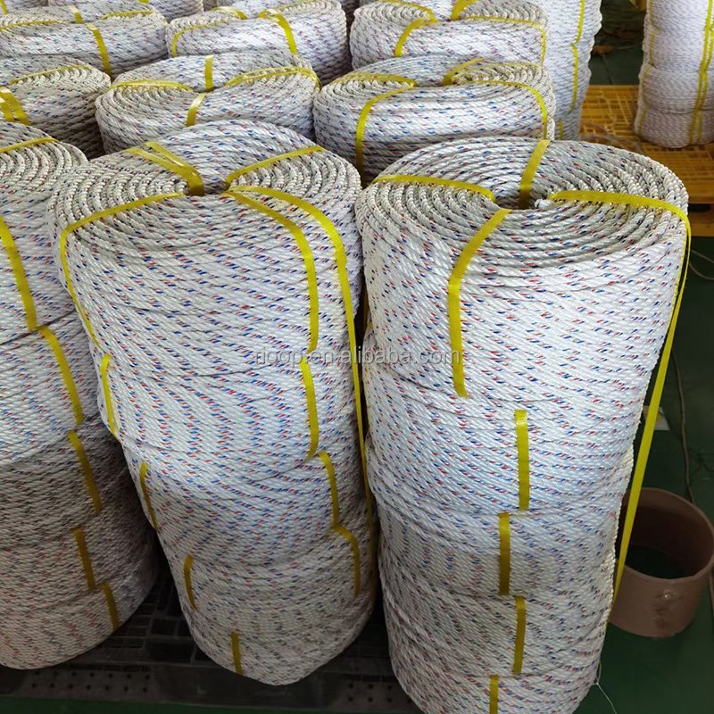 High Quality Plastic Polypropylene Marine Mariculture Rope PE PP Danline Rope for Mariculture Fishing Boats Shipping
