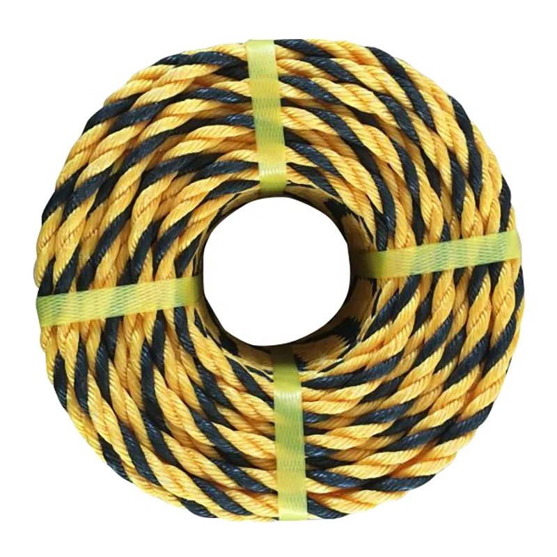 High Quality Factory Direct Sale Plastic Nylon Twist 3 4strands Pp Rope for Packing and Marine Fishing