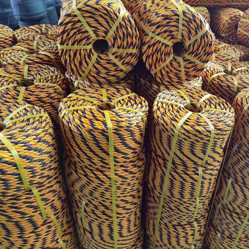 High Quality Factory Direct Sale Plastic Nylon Twist 3 4strands Pp Rope for Packing and Marine Fishing