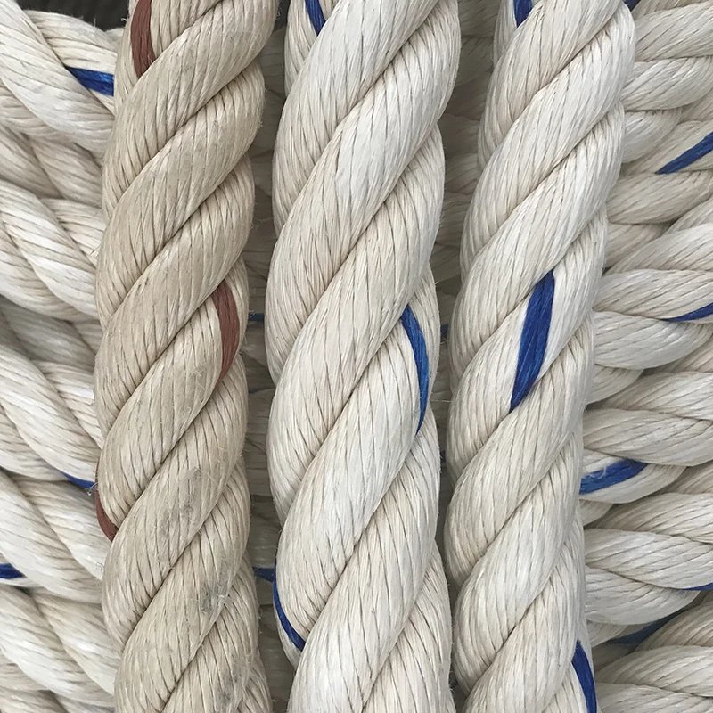 High Quality Factory Direct Sale Plastic Nylon Twist 3 4strands Pp Rope for Packing and Marine Fishing