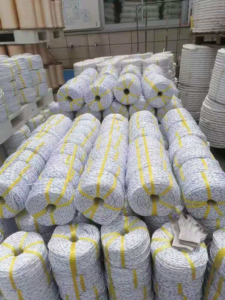 Dongtalent Strong Polypropylene Rope 6Mm 12Mm 16Mm Can Be Used Packaging Fishing Anchor Uv Resistance Pp Rope