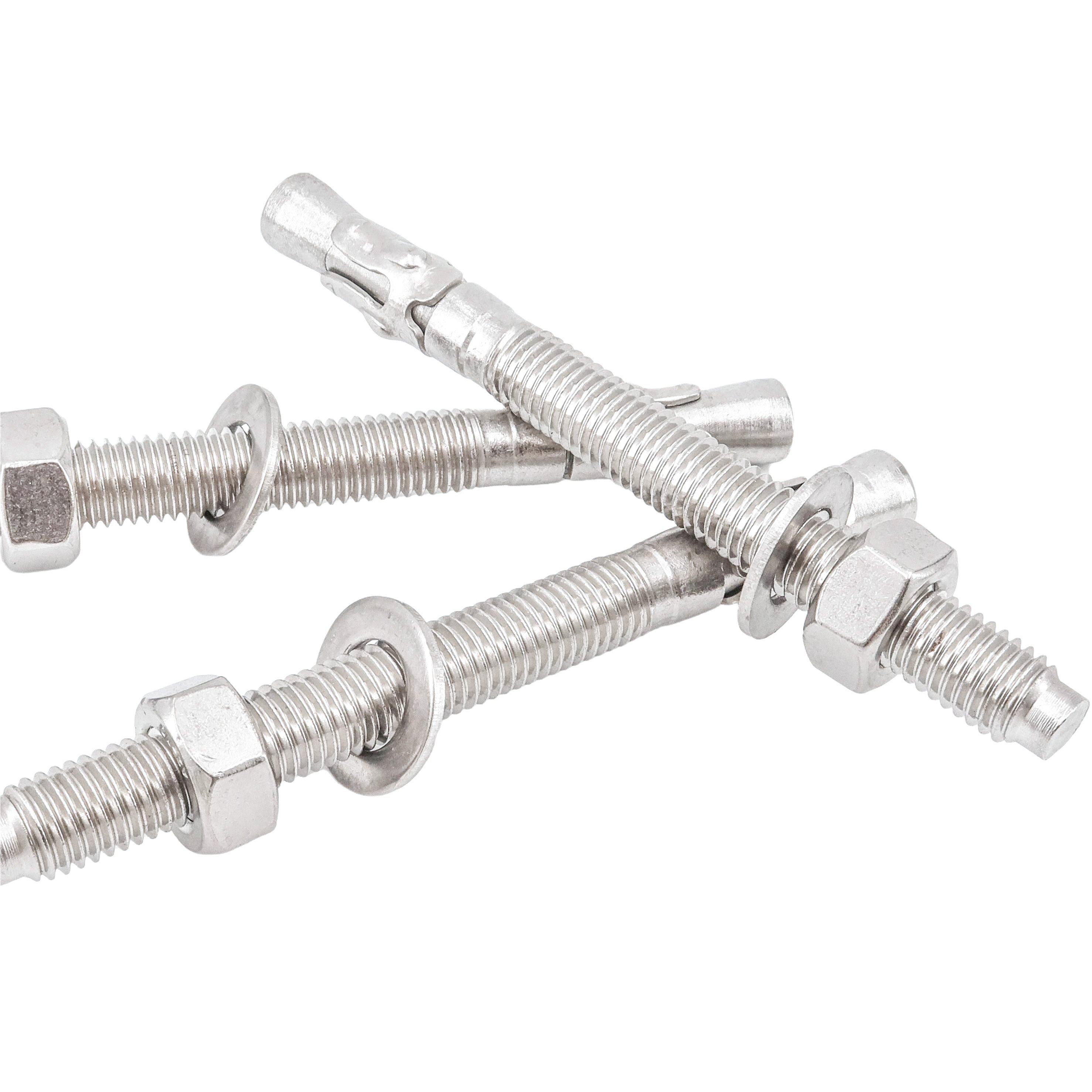 Free Sample Worldwide 304 316 Stainless Steel Wedge Anchor Bolt Expansion Bolt M12 M14 M16 M20
