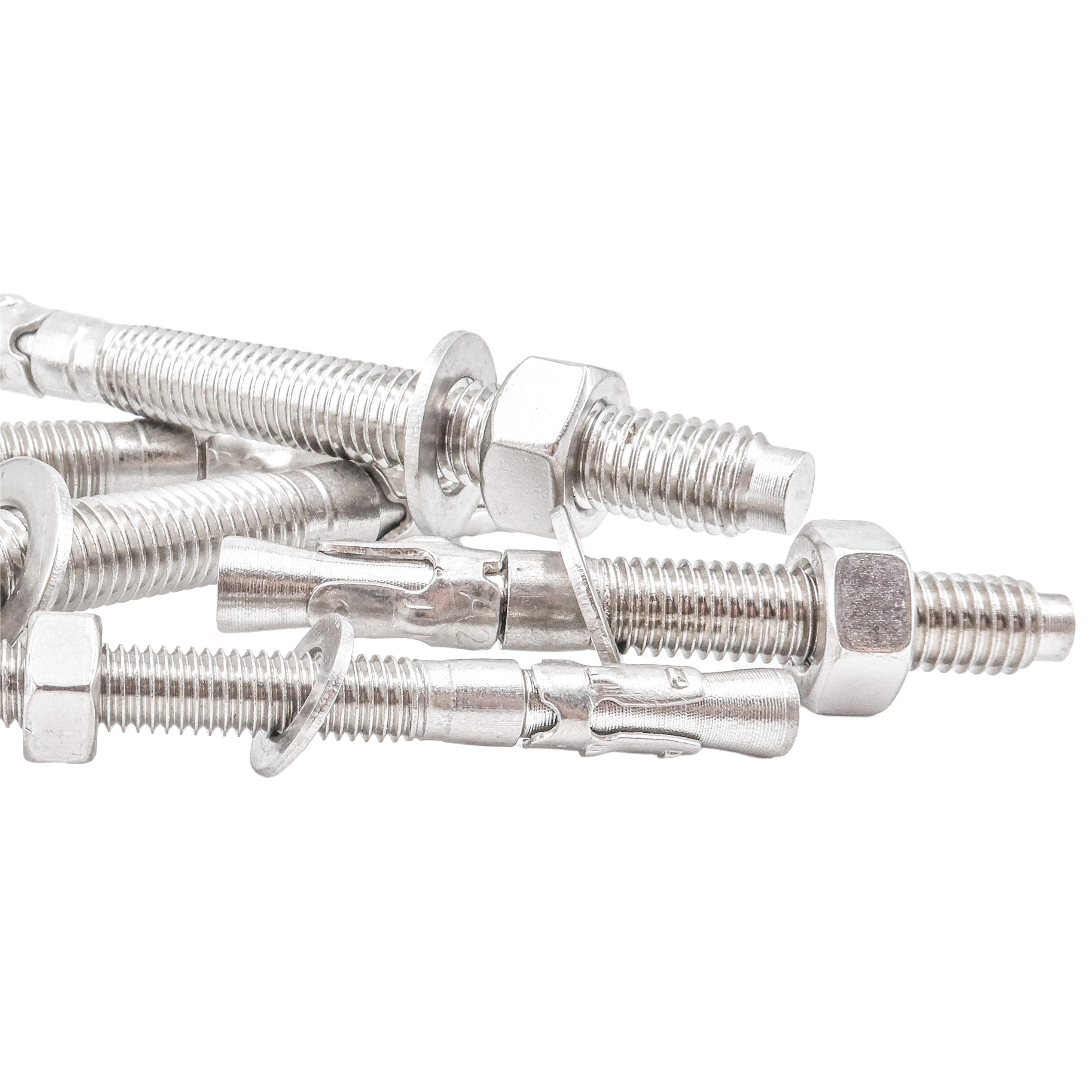 Free Sample Worldwide 304 316 Stainless Steel Wedge Anchor Bolt Expansion Bolt M12 M14 M16 M20
