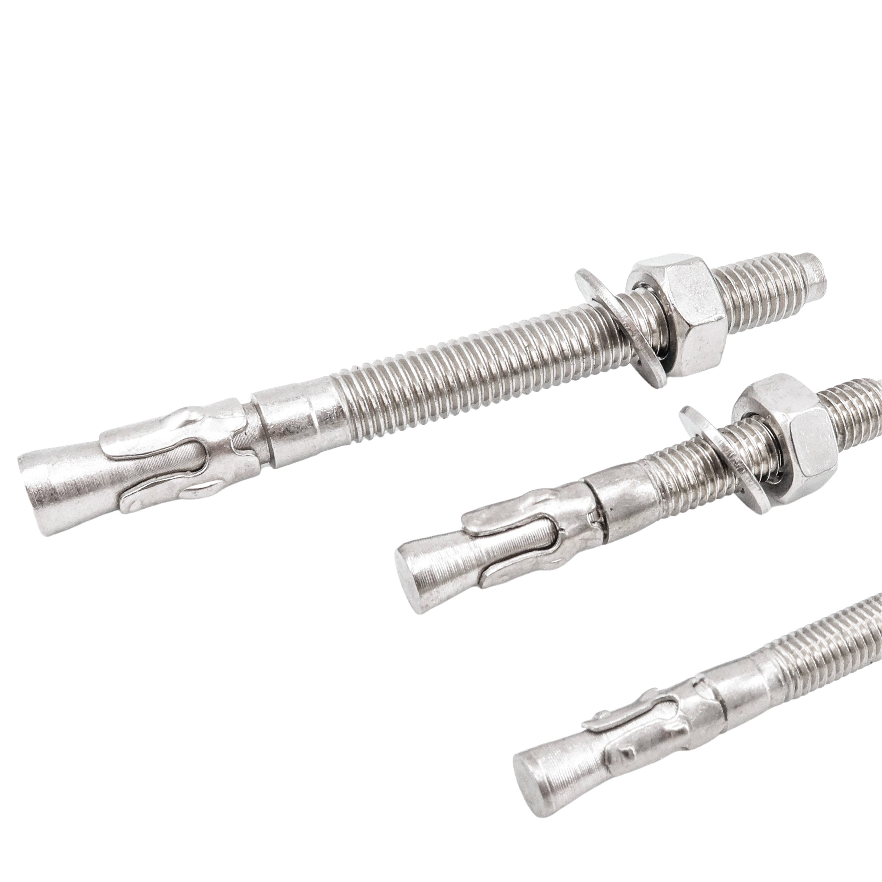Free Sample Worldwide 304 316 Stainless Steel Wedge Anchor Bolt Expansion Bolt M12 M14 M16 M20