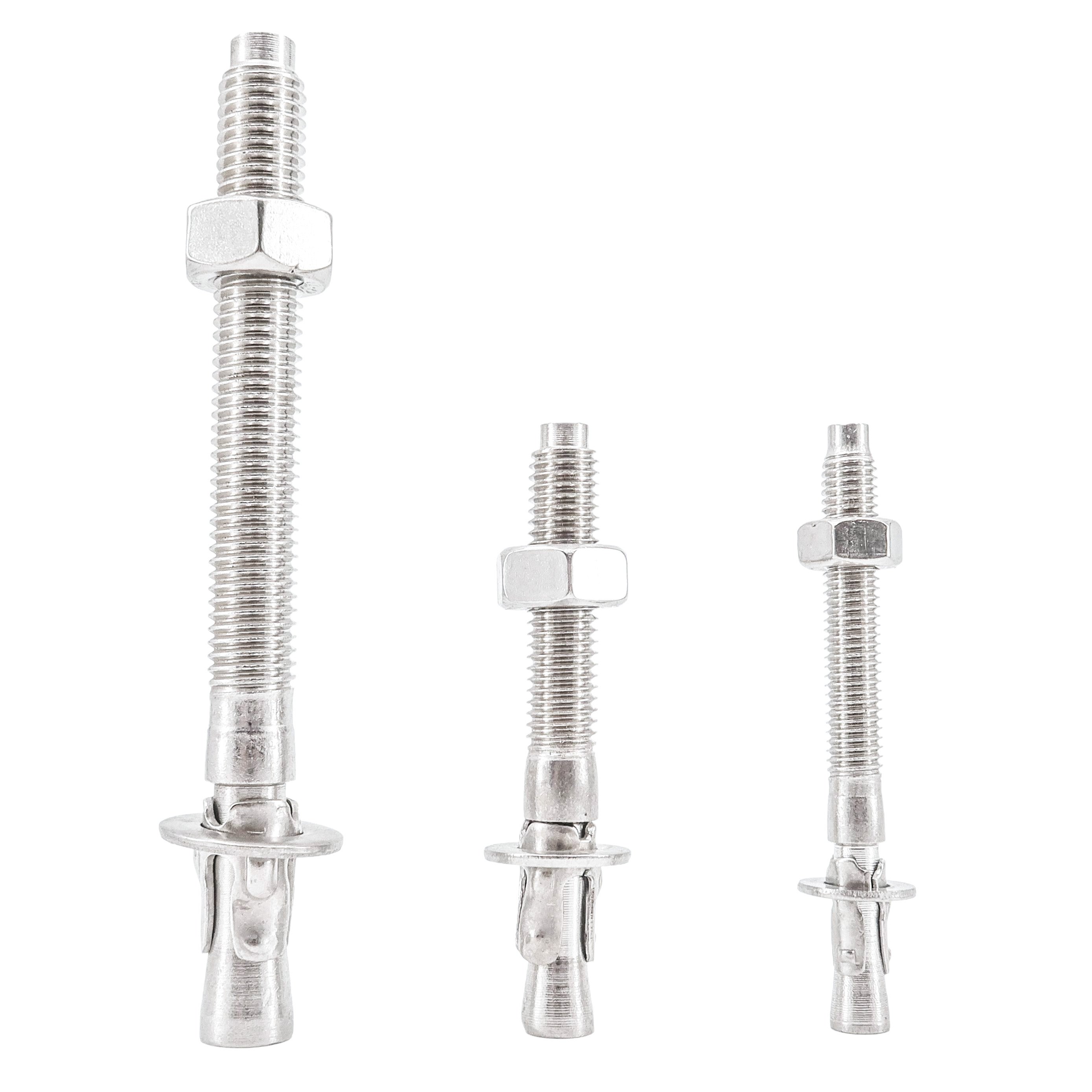 Free Sample Worldwide 304 316 Stainless Steel Wedge Anchor Bolt Expansion Bolt M12 M14 M16 M20