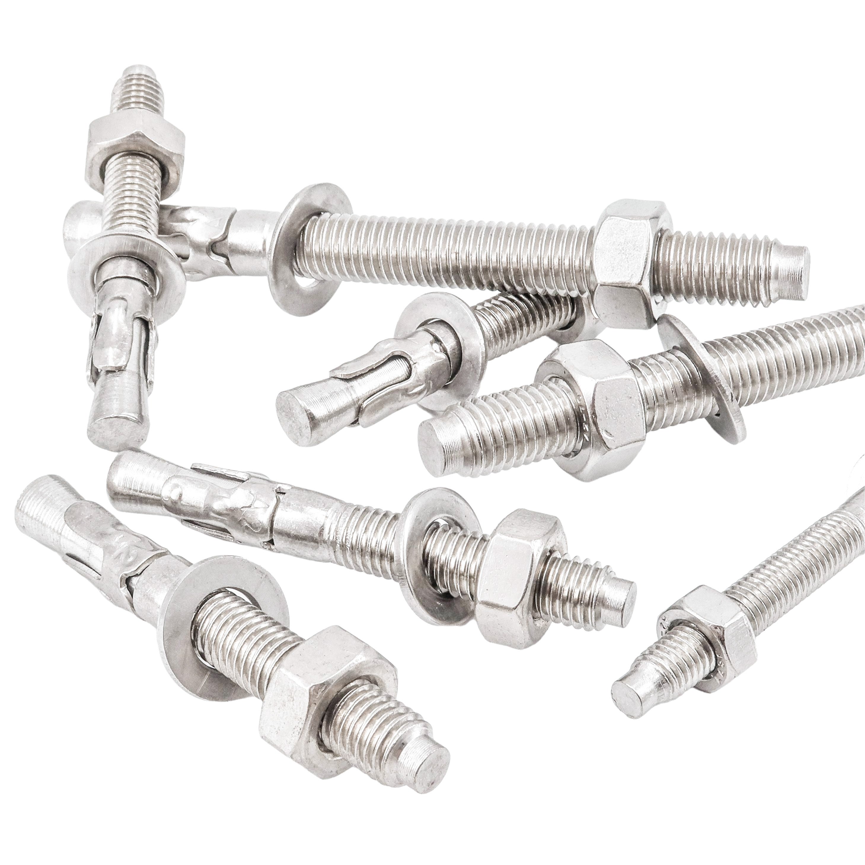 Free Sample Worldwide 304 316 Stainless Steel Wedge Anchor Bolt Expansion Bolt M12 M14 M16 M20