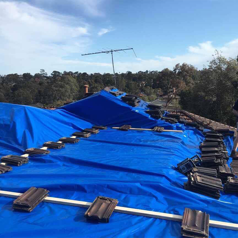 Cheap Price PE Tarpaulin Sheet With All Specifications Tarpal/lona/tapoline