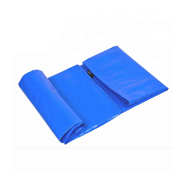 Cheap Price PE Tarpaulin Sheet With All Specifications Tarpal/lona/tapoline