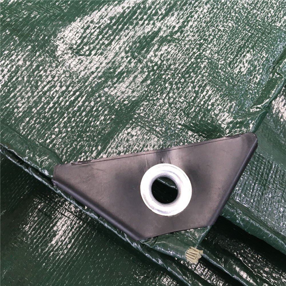 Plastic Fabric Roll PE Tarpaulin Canvas Other Fabric Multi-purpose Poly Tarp Cover Water Resistant LDPE Coated Tarpaulin