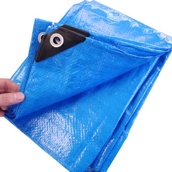 PE Tarpaulin Plastic Garden Sail Boat Waterproof Canopy for Truck House Tent Cover Pool Sun Protection Tarp