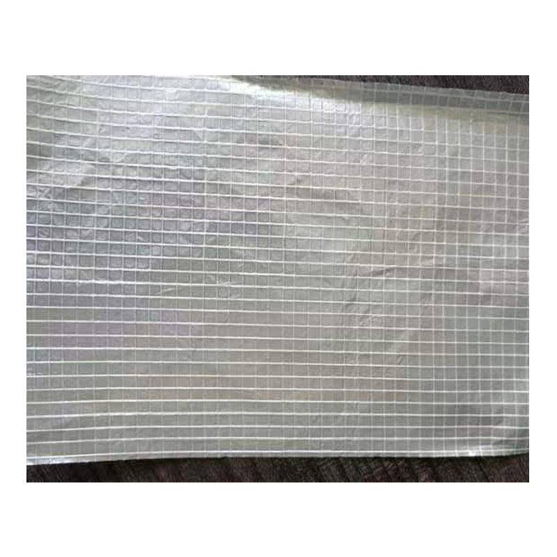 Fiberglass Mesh Factory Covering Fiber Glass Mesh Tape Roll for Tapes
