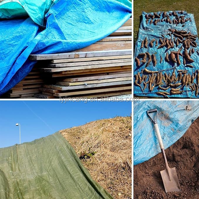 Waterproof Poly Tarp/Heavy Duty Poly Tarp/PE Tarpaulin