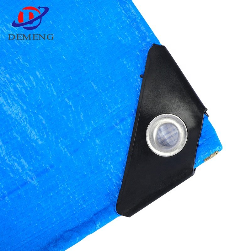 Korea PE Tarpaulin Sheet with UV Treated for Car /Truck / Boat Cover