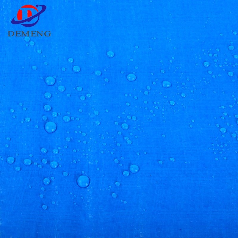 Korea PE Tarpaulin Sheet with UV Treated for Car /Truck / Boat Cover