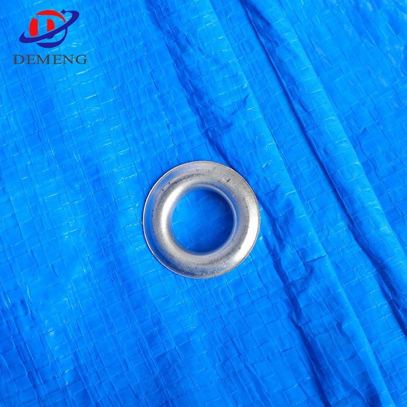 Korea PE Tarpaulin Sheet with UV Treated for Car /Truck / Boat Cover