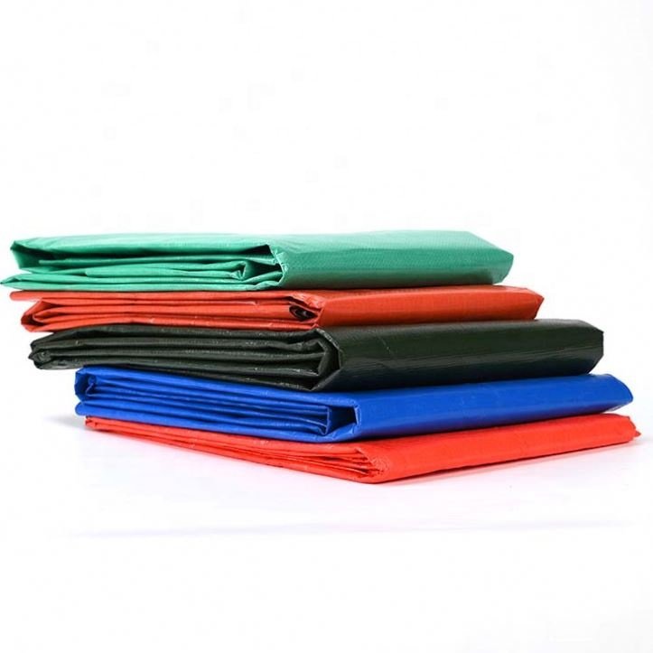 Rainproof Cloth Garden Outdoor Awning Shade Sail Boat Truck Canopy Pet Dog House Cover Waterproof PE Tarpaulin