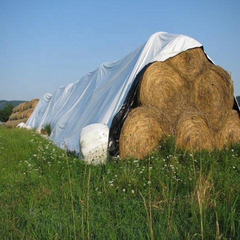 Chinese Factory Waterproof Multifunction Heavy Duty Pe Tarpaulins for Trucks