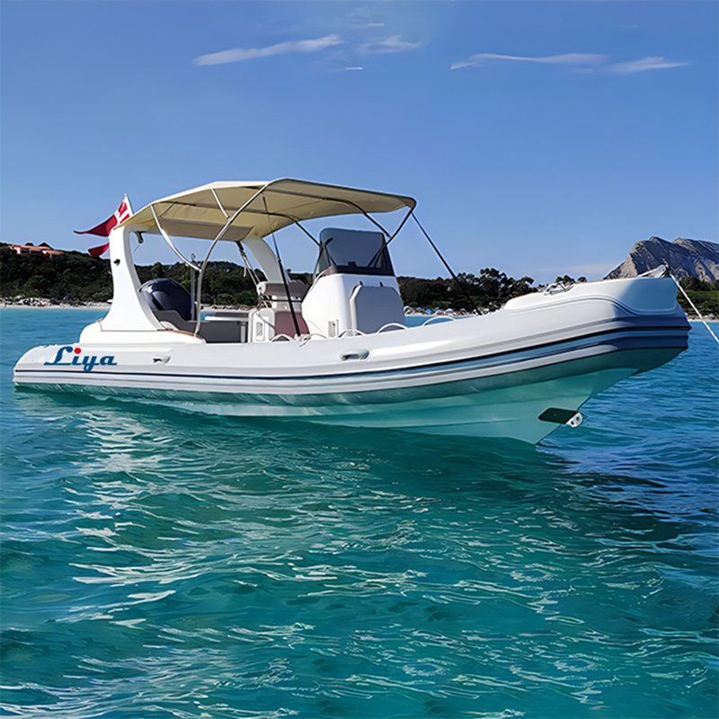 Liya 22Foot Quality RIB Yacht with Outboard Motor for 12 Passengers