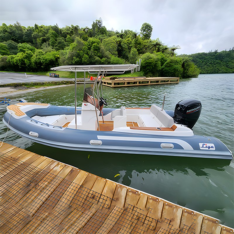 Liya 22Foot Quality RIB Yacht with Outboard Motor for 12 Passengers