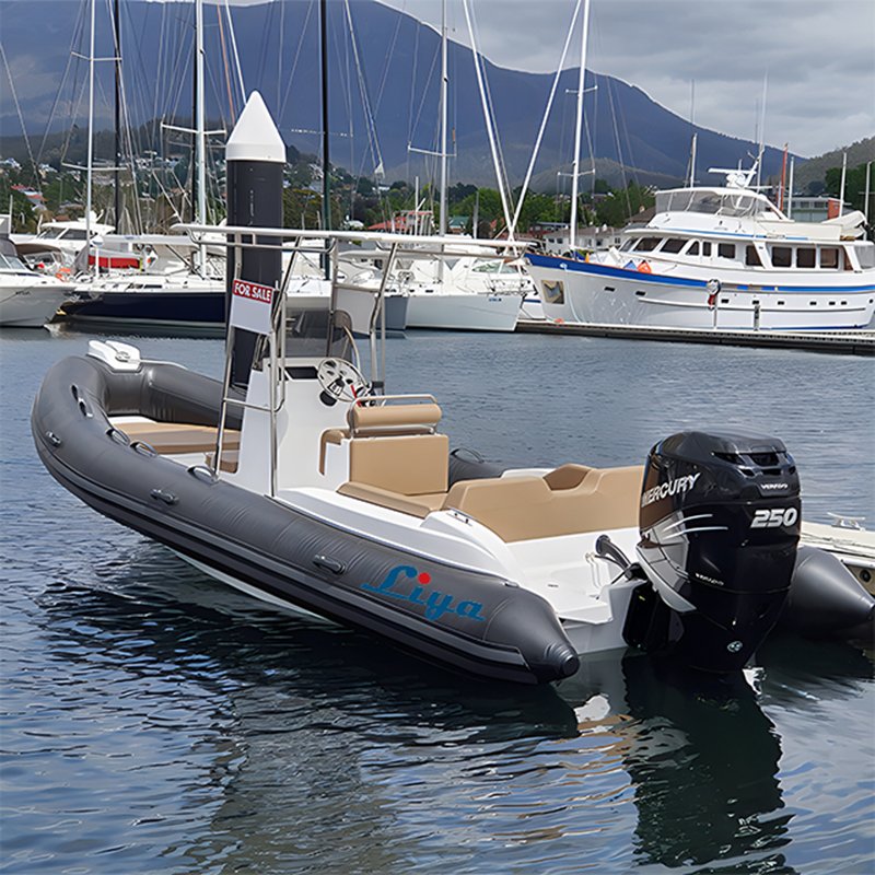 Liya 22Foot Quality RIB Yacht with Outboard Motor for 12 Passengers
