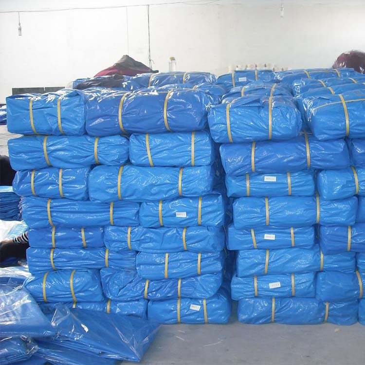 Polyester 600 D PVC Coated Oxford Fabric for Bag Tent Use in China