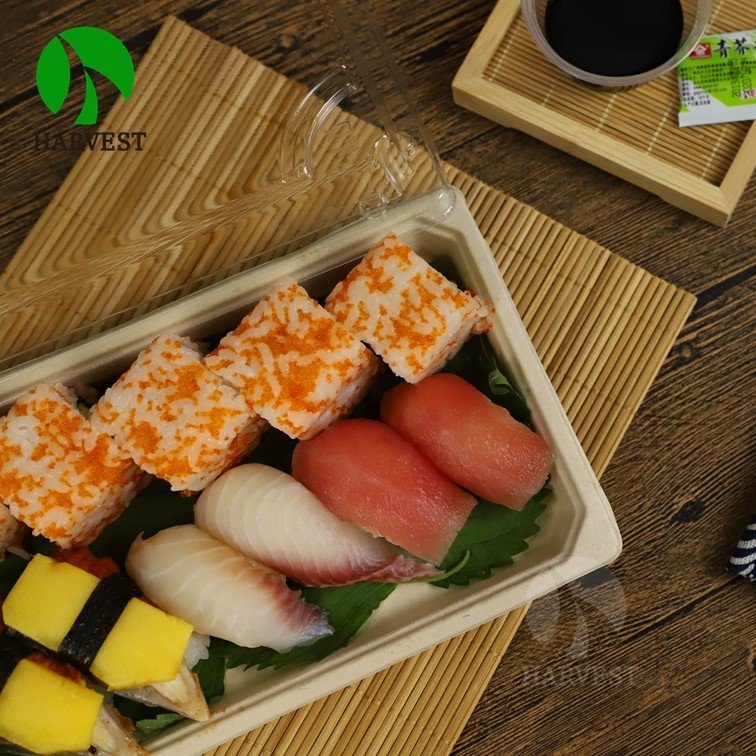 Disposable Take Away Take Out Biodegradable Paper Pulp Fresh Food Tray
