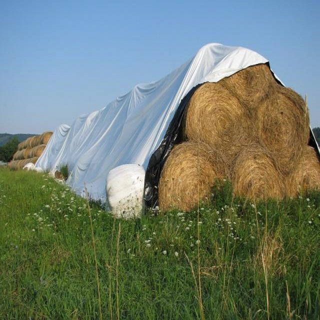 Good Quality Fabric Coated Woven Fabric Pe Tarpaulin Fabric Tarp Roll Sheet for Truck