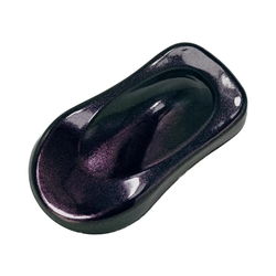 PPBS1005