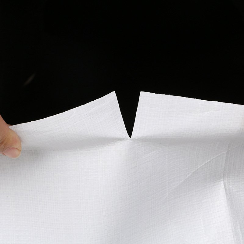 Standard Poly Tarp White Waterproof Polyethylene Tarpaulin Canopy Tent Boat Pool Cover PE Tarpaulin