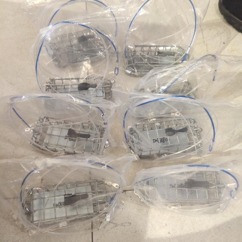 American Fishing Wire 6 Loop Crab Snare