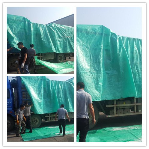 210GSM Customized Size Thickness LDPE Coated PE Tarpaulin Sheet Cover Canvas Tarpaulin With Aluminium Grommet