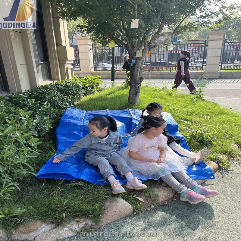 High Quality Tarpaulin for Waterproof
