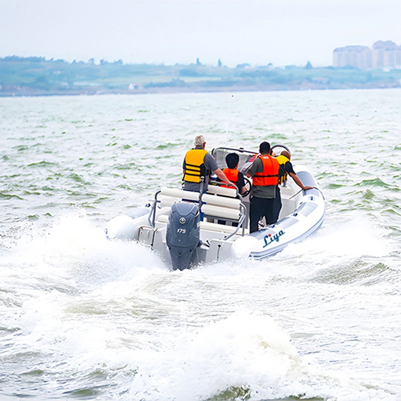 Liya 23Foot Aluminium Hull Big Deck RIB Boat
