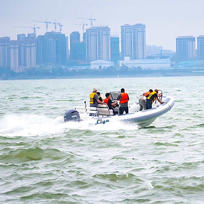 Liya 23Foot Aluminium Hull Big Deck RIB Boat