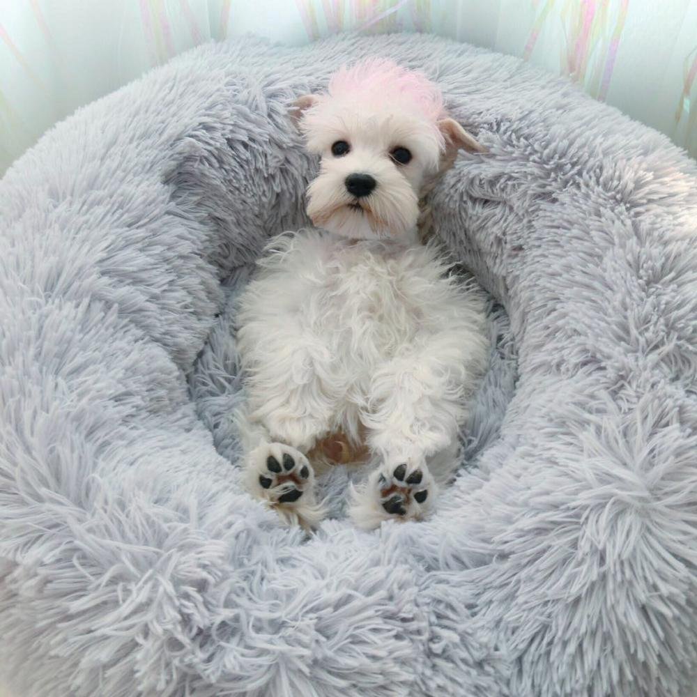 Ready to Ship Many Sizes Stock Winter Warm Luxury Plush Cat House Dog Pet Products Pet Bed