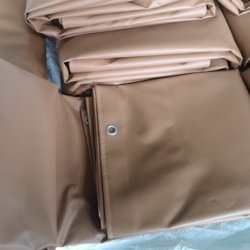 Brown01