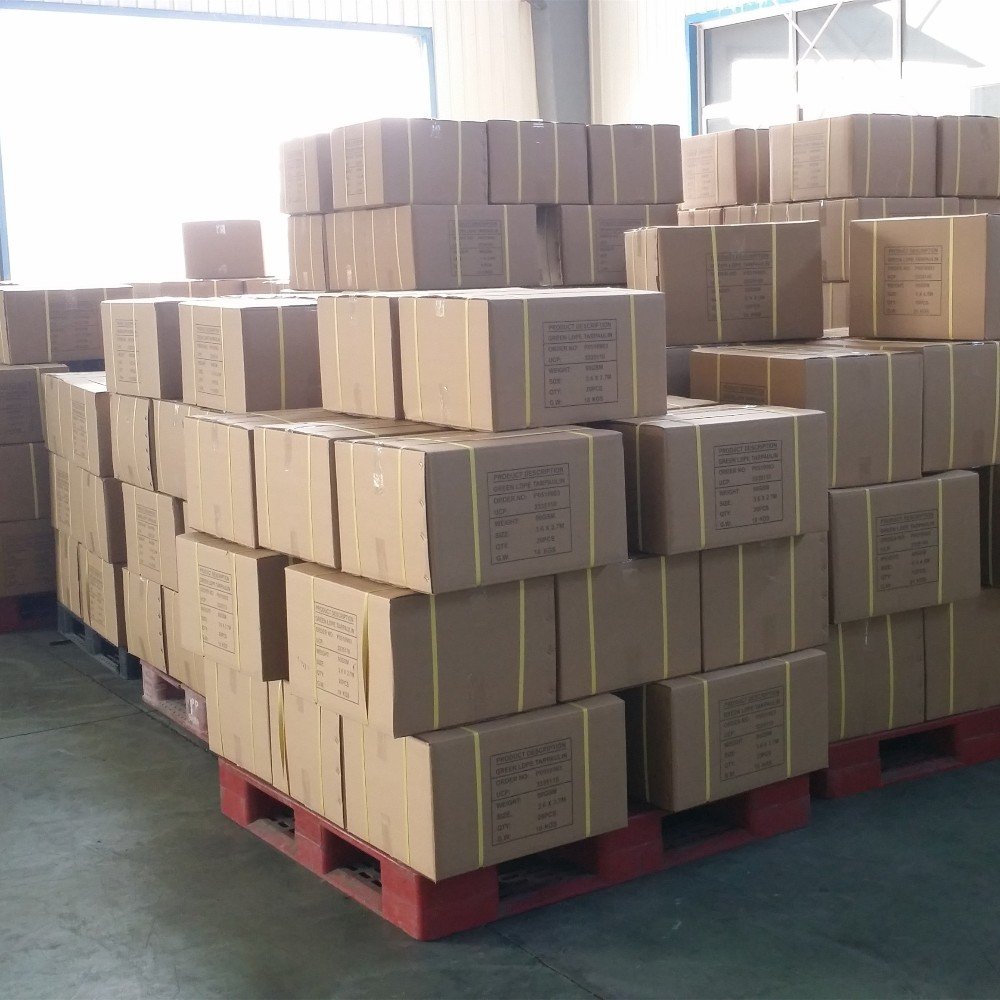 Blue Virgin Material Tarp Roof Custom Printed Trailer Tarp Car Tarpaulin Roll