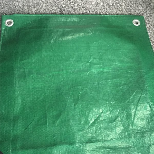 Plastic Canvas Sheets From Polypropylene Korea As Boat Cover
