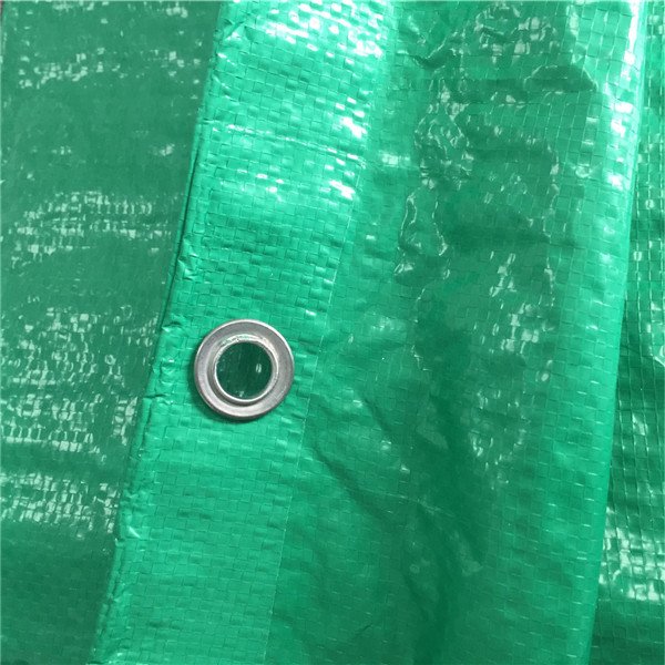 Plastic Canvas Sheets From Polypropylene Korea As Boat Cover