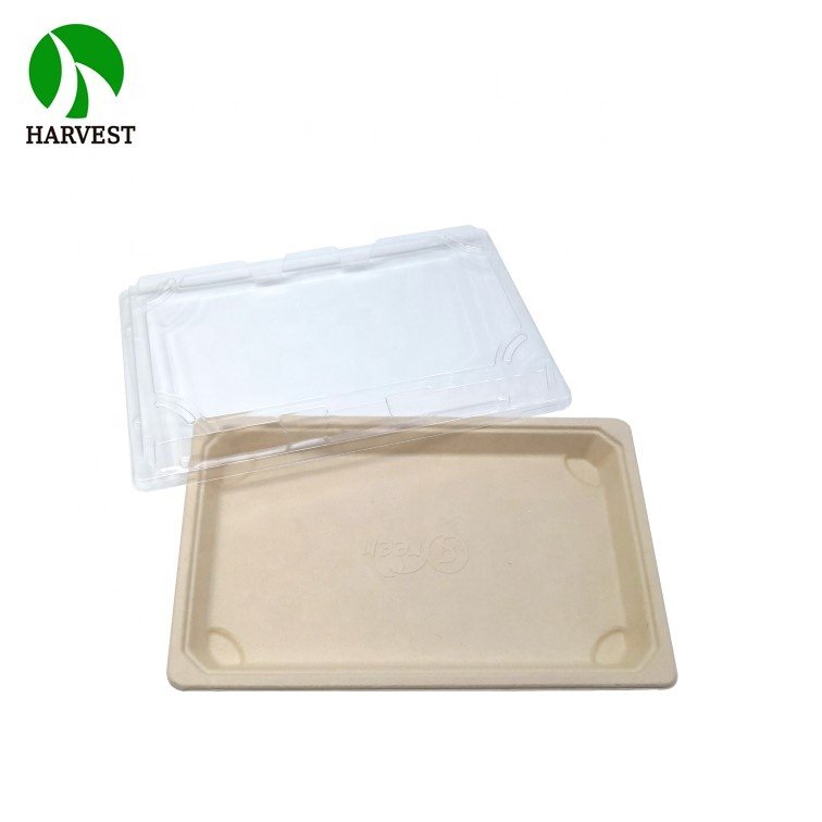 Biodegradable Disposable Wood Sugarcane Paper Pulp Sushi Food Tray