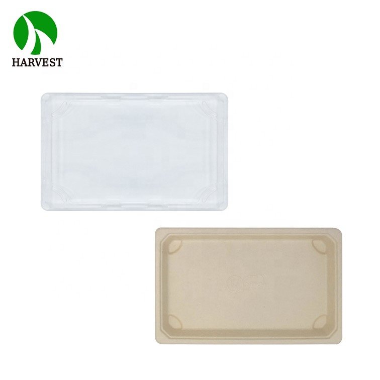 Biodegradable Disposable Wood Sugarcane Paper Pulp Sushi Food Tray